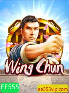 Explorando o Universo do Jogo WingChun: Regras e Descrição